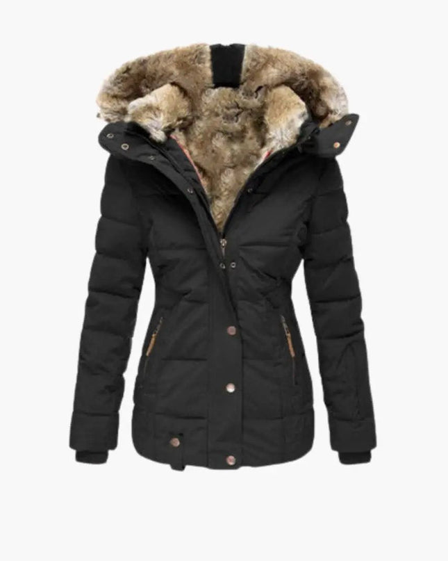 Structured Jacket for Women