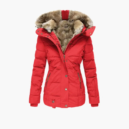 Structured Jacket for Women
