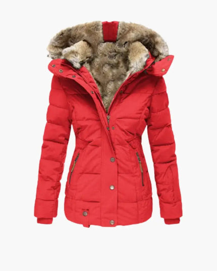 Structured Jacket for Women