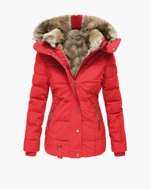 Structured Jacket for Women