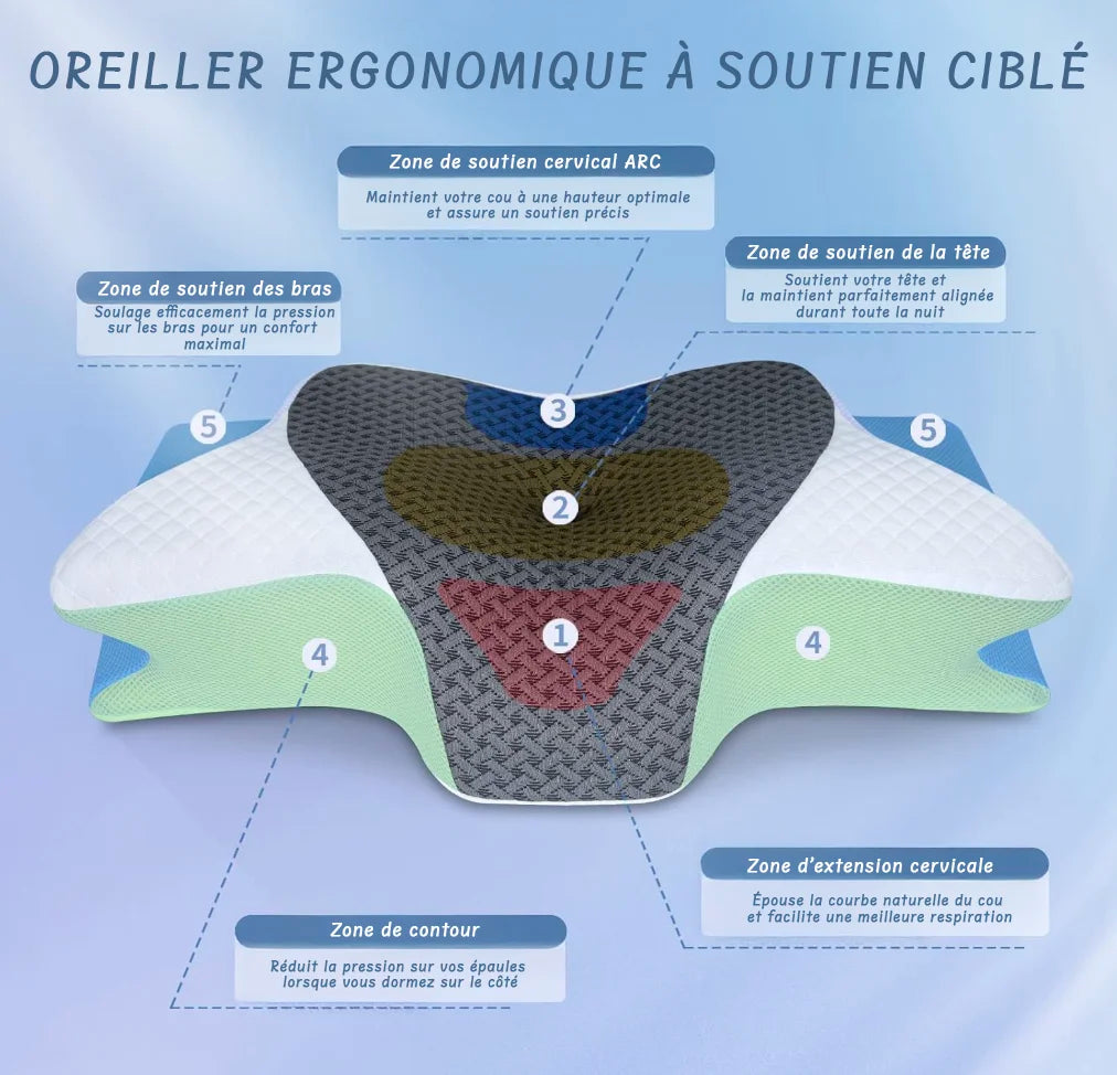 Orthosleep – Oreiller Ergonomique