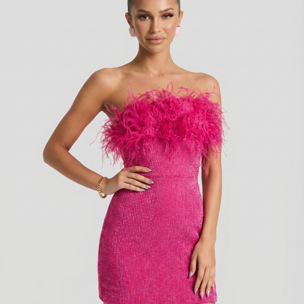 Ellen | Mini Dress with Sequin and Feather Detail