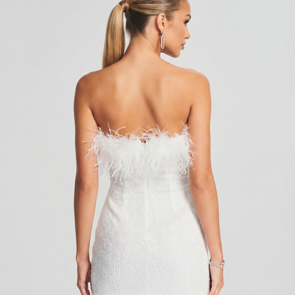 Ellen | Mini Dress with Sequin and Feather Detail