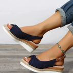 Dark Blue / 2