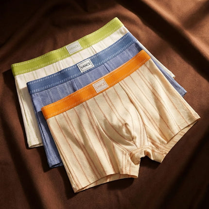 Leander | Retro Men's Boxers – Organic Cotton Striped Style